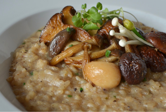Wild mushroom risotto with wild mushrooms, roasted garlic, and microgreens.